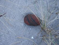 red pebbles on the beach