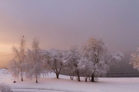 winter sea beach, norway