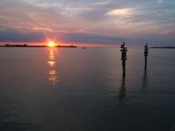 scenic sunrise silhouette