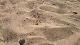 dry beach sand closeup