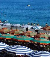 many umbrellas on the beach