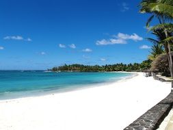 white sand on a tropical beach