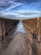 wooden posts on the beach
