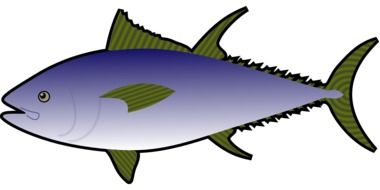 Sea fish clipart