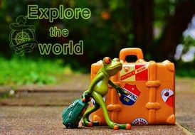 frog travel holidays