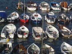 small boats harbour