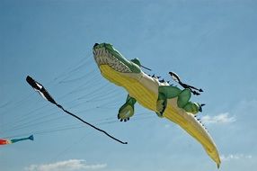 crocodile kite on the beach in Berck-plage
