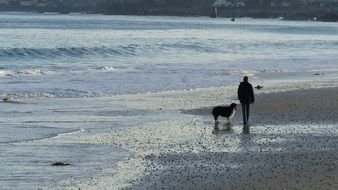 man and the dog on the beach