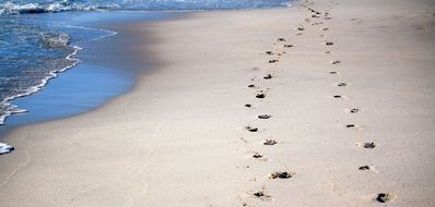 footprints of lovers in the sand on the beach