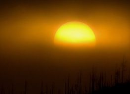 romantic yellow sun at sunrise
