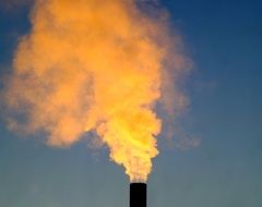 Yellow smoke from the horn