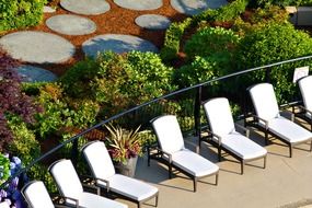 Deck chairs near the swimming pool