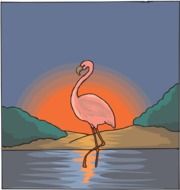 flamingo bird drawing