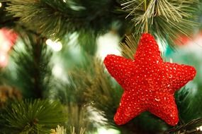 christmas decor on the tree branch