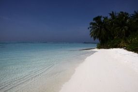 sandy beach in the Maldives