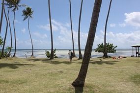 picturesque beach on the island of Martinique