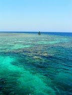 panorama of the coral reef in the red sea