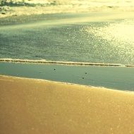 golden sand on the beach at praia mansa