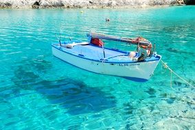 white and blue boat anchored at sea coast