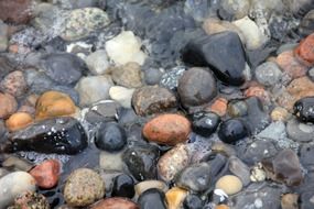 coastal pebbles in water close-up
