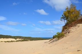sand dunes on a sunny beach