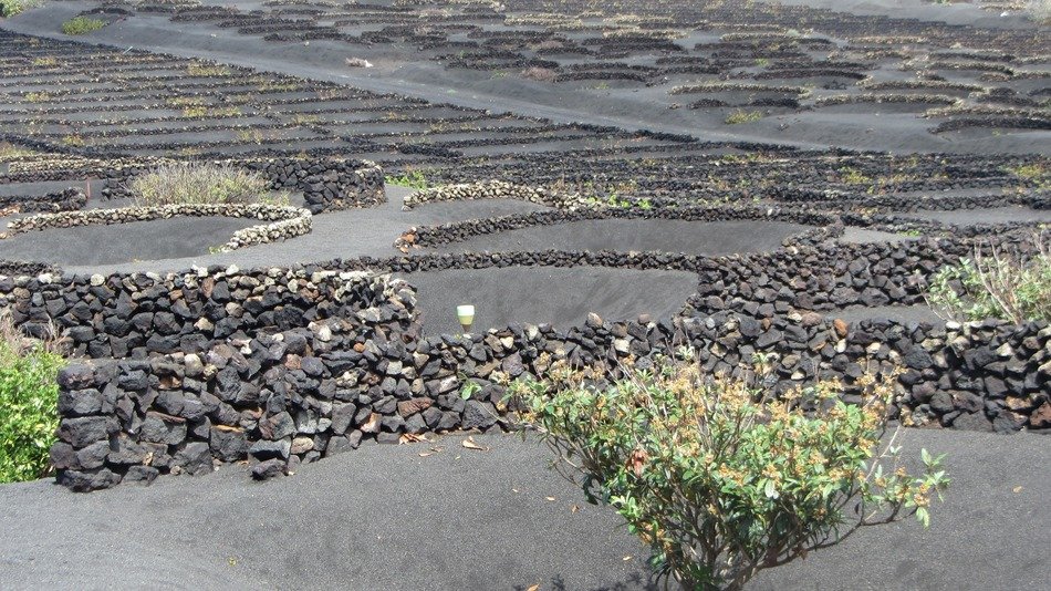 Holiday in Lanzarote