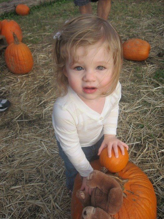 baby and pumpkins
