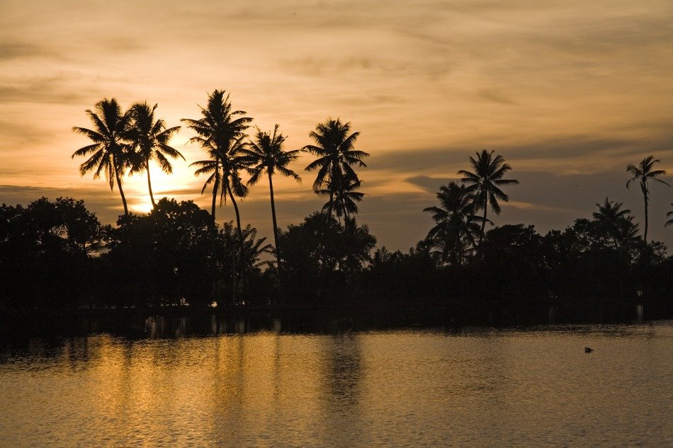 beautiful sunset in the backwater in kerala