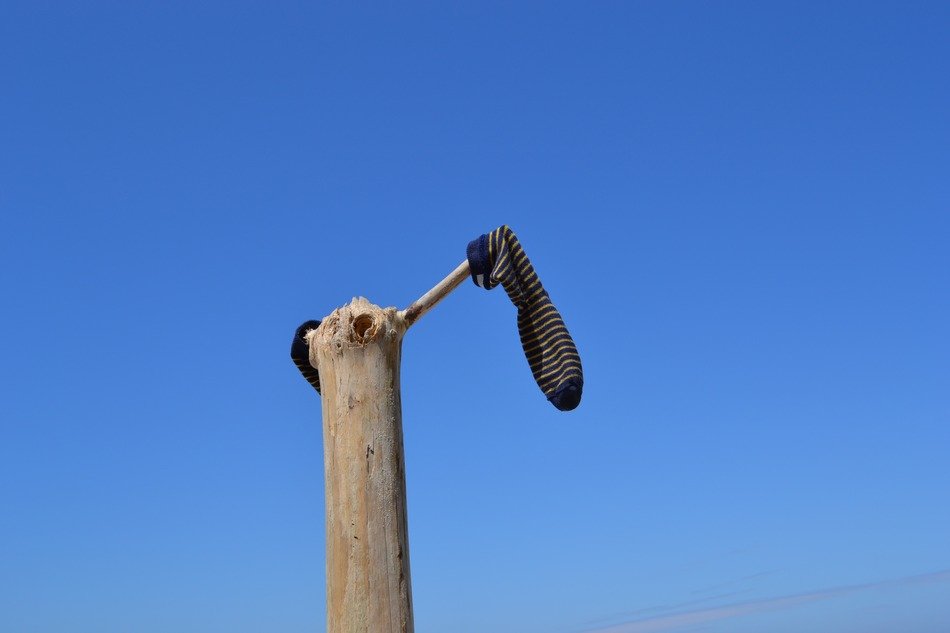 socks on the dead tree