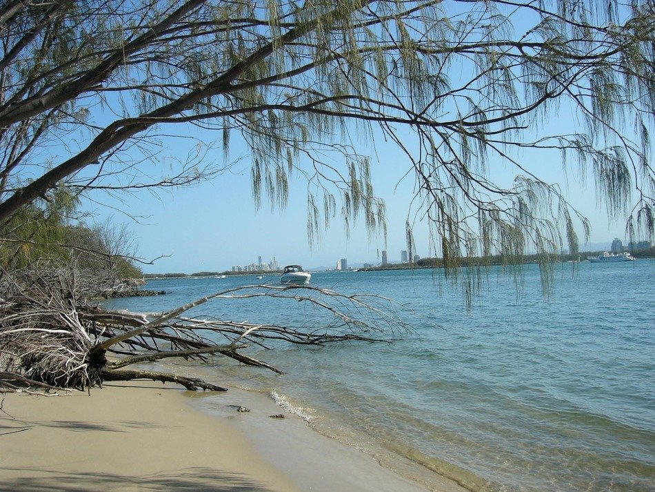 sandy beach near the ocean with a tree