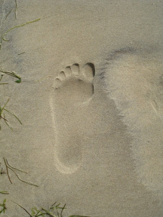 footprint on the sand of the beach