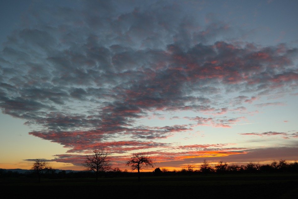 sunset in the swabian