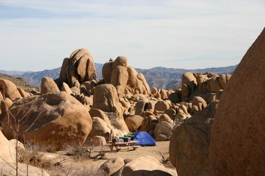 camping in joshua national park