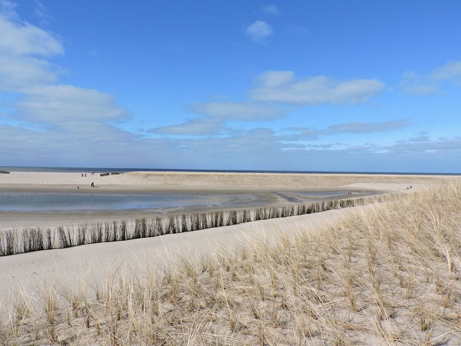 callantsoog beach landscape