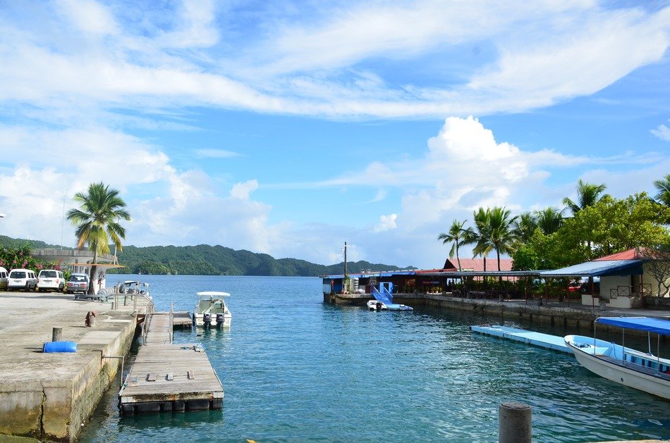 sea canal, Marina with palm trees