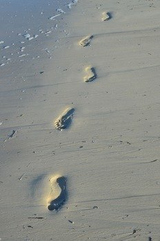 footprint on the sea beach