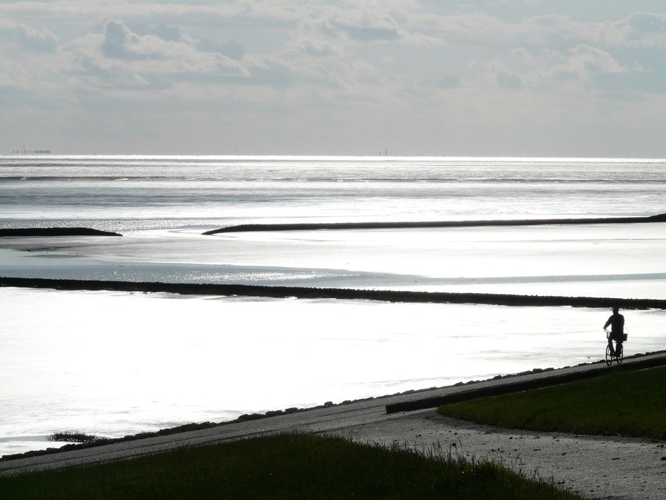 cyclists at dike near ocean