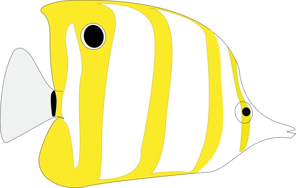 butterflyfish drawing