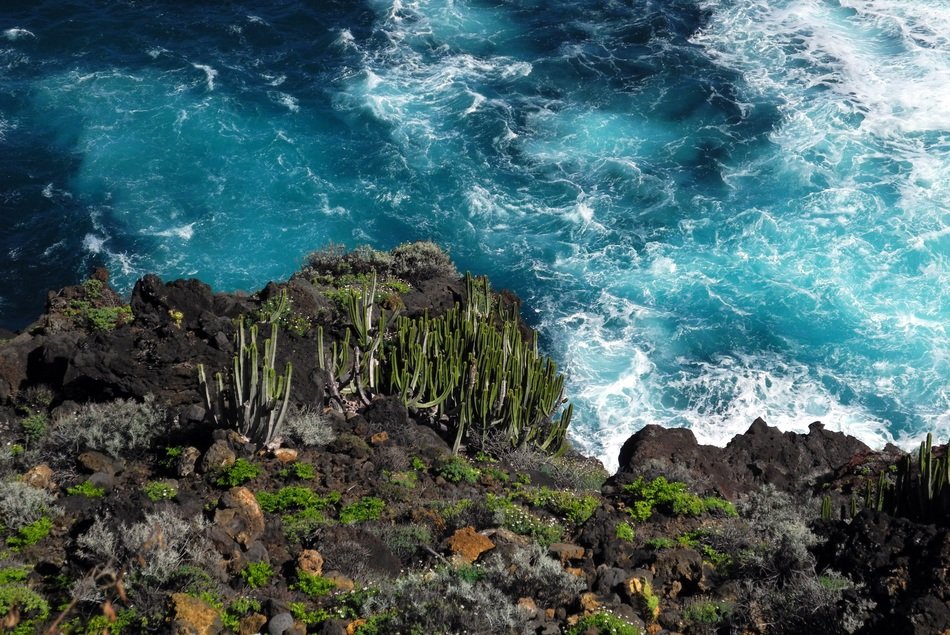 View with the rocks and ocean