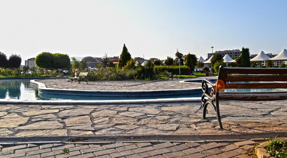 bench by the pool in the park