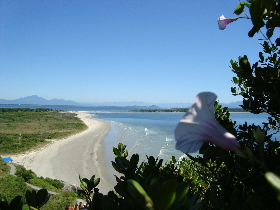 beach on the island
