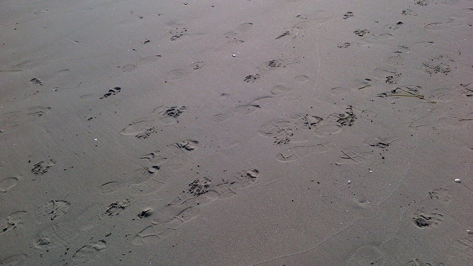 footprints in the wet sand on the beach