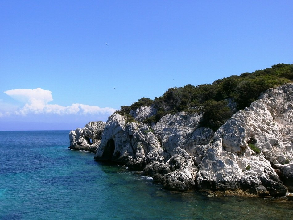 beautiful sea reef