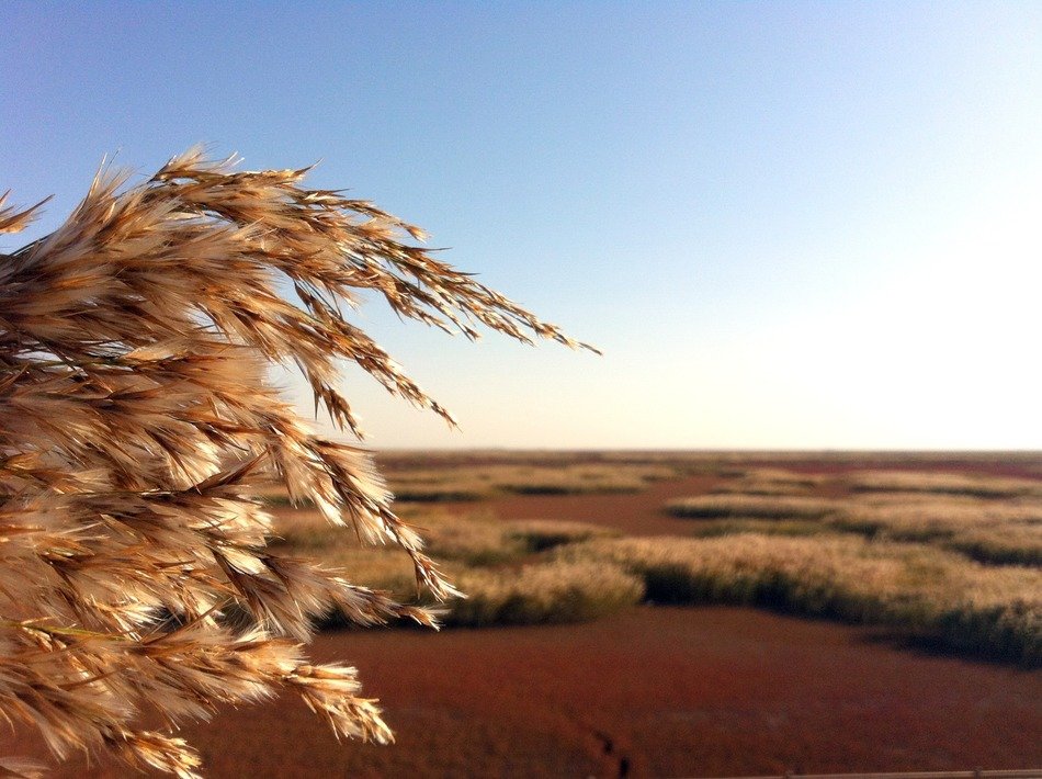 red beach