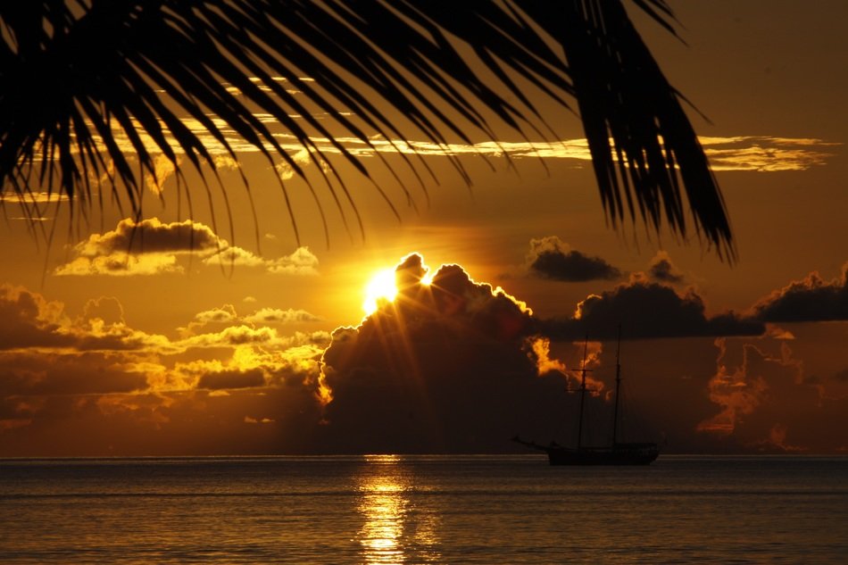 charmingly beautiful gold sunset