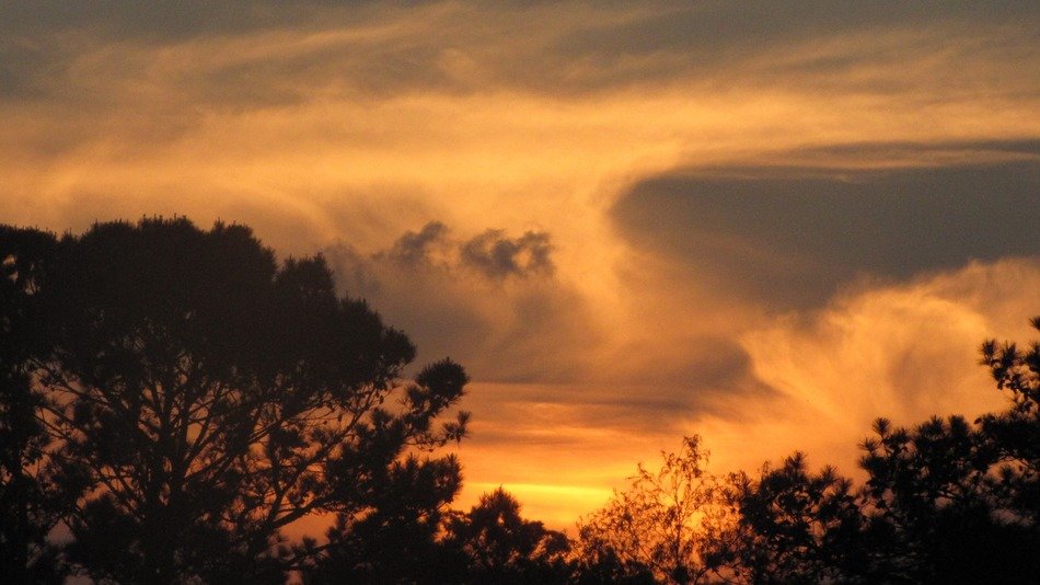 summer orange sky at sunset