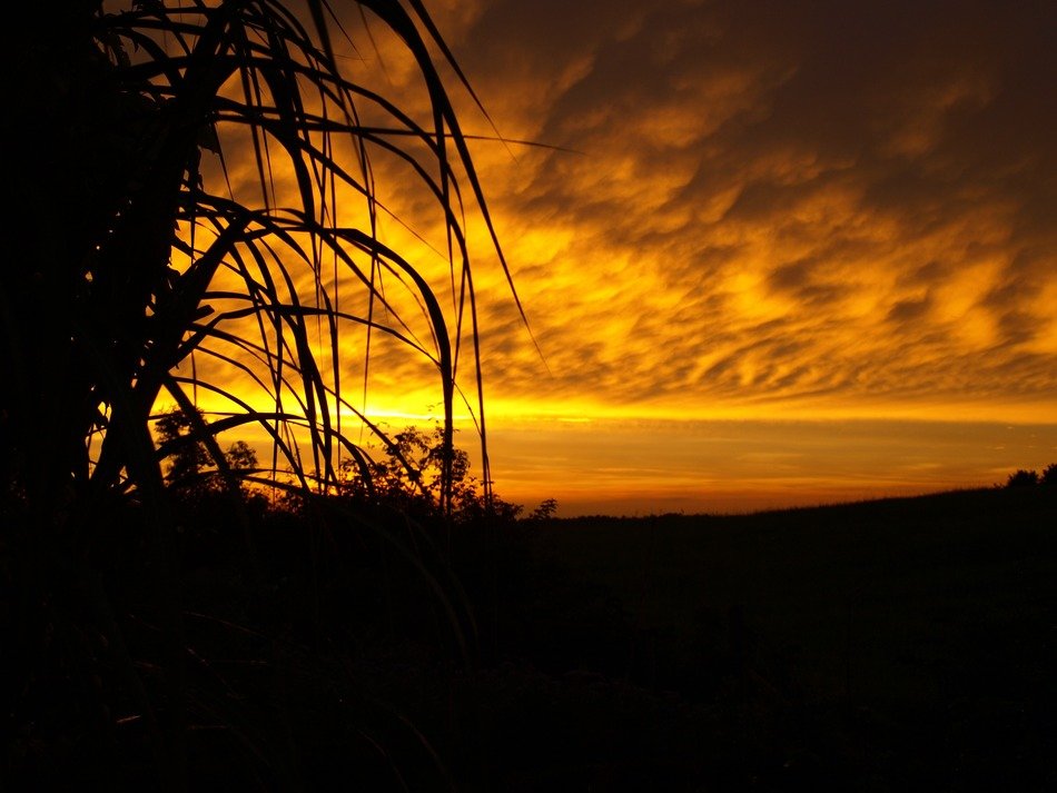 schorfheide garden sunset