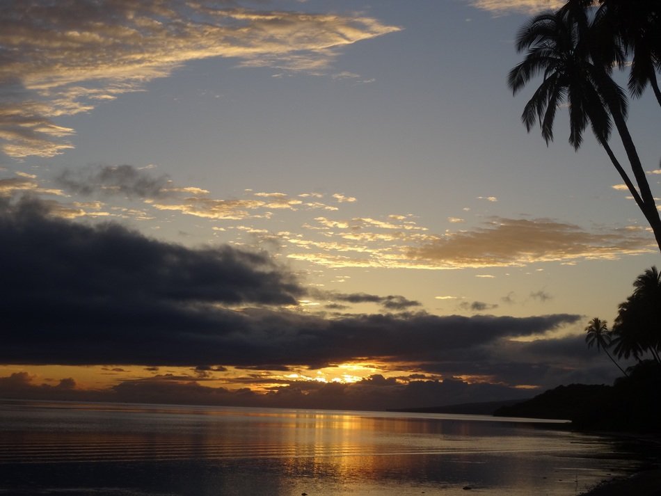 sunset sun behind clouds and palm trees