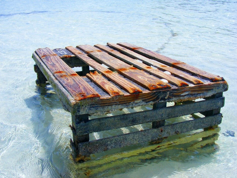 Lobster trap in the ocean