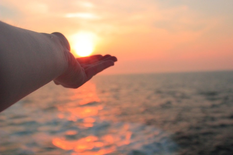 sun on the palm